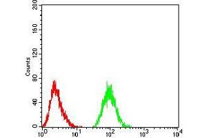 Flow cytometric analysis of Jurkat cells using THAP1 mouse mAb (green) and negative control (red).