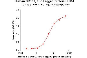 ELISA plate pre-coated by 2 μg/mL (100 μL/well) Human HVEM, His tagged protein (ABIN6964089) can bind Human CD160,hFc tagged protein(ABIN6964110) in a linear range of 1. (CD160 Protein (CD160) (Fc Tag))