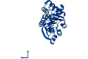 AlphaFold protein structure predicition of Mouse Recombinant Tomt Protein, UniprotID A1Y9I9