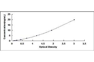 Typical standard curve (MMP3 Kit ELISA)
