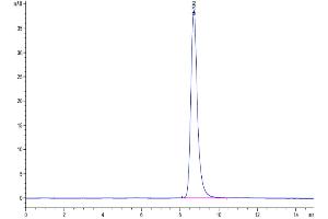 The purity of Mouse LRP10 is greater than 95 % as determined by SEC-HPLC.