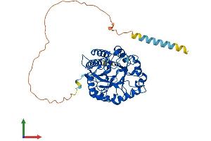 AlphaFold protein structure predicition of Mouse Recombinant Manea Protein, UniprotID Q6NXH2