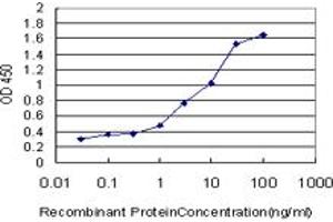 Detection limit for recombinant GST tagged HNMT is approximately 0.