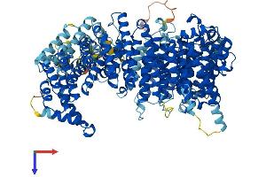 AlphaFold protein structure predicition of Human Recombinant XPO4 Protein, UniprotID Q9C0E2