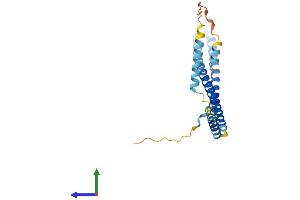 AlphaFold protein structure predicition of Human Recombinant CHMP4A Protein, UniprotID Q9BY43