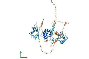 AlphaFold protein structure predicition of Human Recombinant GABPA Protein, UniprotID Q06546