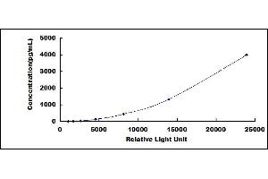 ELISA image for Thioredoxin (TXN) CLIA Kit (ABIN1081884)