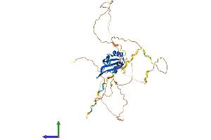AlphaFold protein structure predicition of Mouse Recombinant Rbfox3 Protein, UniprotID Q8BIF2