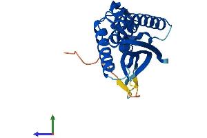 AlphaFold protein structure predicition of Mouse Recombinant Atg101 Protein, UniprotID Q9D8Z6