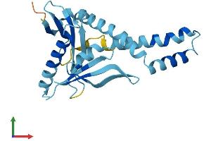 AlphaFold protein structure predicition of Human Recombinant NAT14 Protein, UniprotID Q8WUY8
