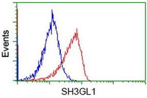 Image no. 1 for anti-SH3-Domain GRB2-Like 1 (SH3GL1) antibody (ABIN1500918)