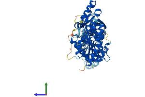 AlphaFold protein structure predicition of Mouse Recombinant Coasy Protein, UniprotID Q9DBL7