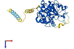 AlphaFold protein structure predicition of Mouse Recombinant St3gal1 Protein, UniprotID P54751