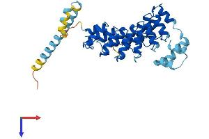 AlphaFold protein structure predicition of Mouse Recombinant Asb11 Protein, UniprotID Q9CQ31