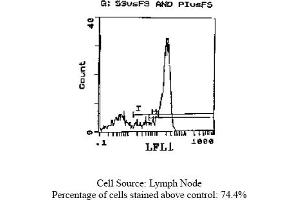 Rat anti CD62L (L-Selectin, LECAM-1) MEL-14 (L-Selectin anticorps  (FITC))