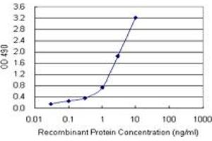 Sandwich ELISA detection sensitivity ranging from 0.
