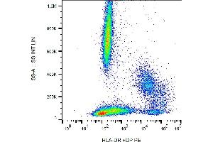Flow cytometry analysis (surface staining) of human peripheral blood with anti-(HL-38) PE. (HLA-DP/DR anticorps  (PE))