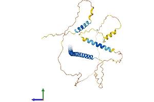 AlphaFold protein structure predicition of Human Recombinant PAWR Protein, UniprotID Q96IZ0