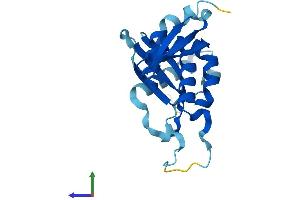 AlphaFold protein structure predicition of Human Recombinant RPS7 Protein, UniprotID P62081