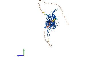 AlphaFold protein structure predicition of Mouse Recombinant Kcnj5 Protein, UniprotID P48545