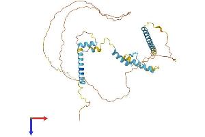 AlphaFold protein structure predicition of Mouse Recombinant Rsrc2 Protein, UniprotID A2RTL5