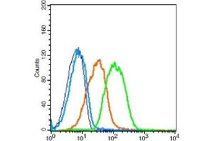 Mouse Blood Cells probed with ADAM28 Polyclonal Antibody, Unconjugated  (green) at 1:30 for 30 minutes followed by a FITC conjugated secondary antibody compared to unstained cells (blue), secondary only (light blue), and isotype control (orange). (ADAM28 anticorps  (AA 321-420))