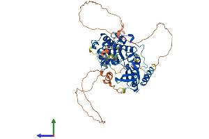 AlphaFold protein structure predicition of Mouse Recombinant Mapk15 Protein, UniprotID Q80Y86