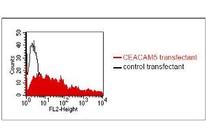 FACS analysis of BOSC23 cells using MUS. (CEACAM5/6 anticorps)