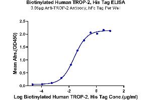 Immobilized Anti-TROP-2 Antibody, hFc Tag at 0.