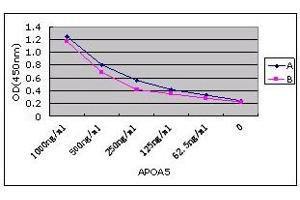 Sandwich ELISA using antibody pair to detect APOA5 protein. (APOA5 anticorps)