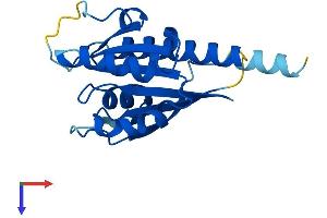 AlphaFold protein structure predicition of Mouse Recombinant Ift22 Protein, UniprotID Q9DAI2