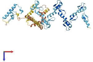 AlphaFold protein structure predicition of Human Recombinant ZNF383 Protein, UniprotID Q8NA42