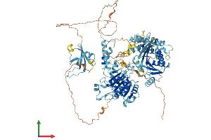 AlphaFold protein structure predicition of Human Recombinant RAD54B Protein, UniprotID Q9Y620