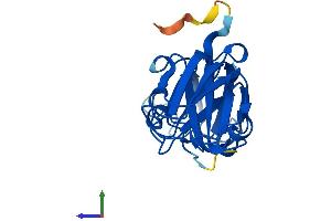 AlphaFold protein structure predicition of Mouse Recombinant Cryba2 Protein, UniprotID Q9JJV1