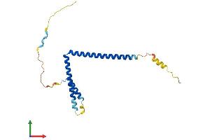 AlphaFold protein structure predicition of Mouse Recombinant Med28 Protein, UniprotID Q920D3