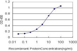 Detection limit for recombinant GST tagged BOLL is approximately 0.