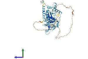 AlphaFold protein structure predicition of Human Recombinant TSEN54 Protein, UniprotID Q7Z6J9
