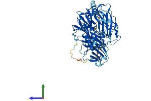 AlphaFold protein structure predicition of Mouse Recombinant Dbh Protein, UniprotID Q64237