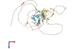 AlphaFold protein structure predicition of Human Recombinant IKZF2 Protein, UniprotID Q9UKS7
