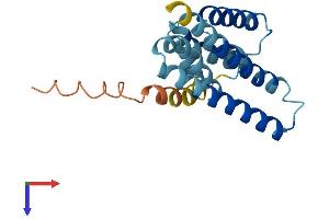 AlphaFold protein structure predicition of Mouse Recombinant Lzic Protein, UniprotID Q8K3C3