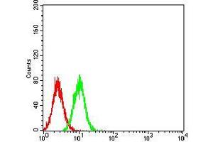 Flow cytometric analysis of *** cells using Hela mouse mAb (green) and negative control (red).