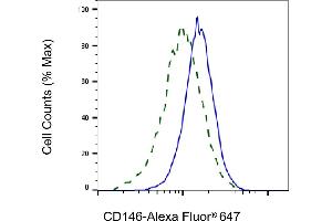 Validation of CD146 knockdown using flow cytometry.