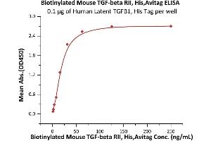 Immobilized Human Latent TGFB1, His Tag (ABIN4949126,ABIN4949127) at 1 μg/mL (100 μL/well) can bind Biotinylated Mouse  RII, His,Avitag (ABIN6973279) with a linear range of 1-31 ng/mL (QC tested).