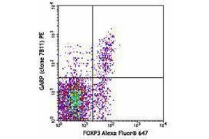 Flow Cytometry (FACS) image for anti-Leucine Rich Repeat Containing 32 (LRRC32) antibody (PE) (ABIN2662729) (LRRC32 anticorps  (PE))