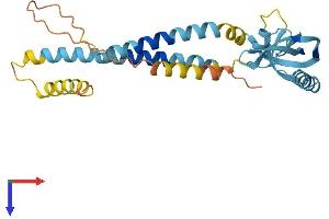 AlphaFold protein structure predicition of Human Recombinant KCNMB3 Protein, UniprotID Q9NPA1