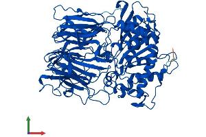 AlphaFold protein structure predicition of Human Recombinant PREP Protein, UniprotID P48147