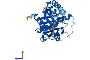 AlphaFold protein structure predicition of Human Recombinant NUBP2 Protein, UniprotID Q9Y5Y2