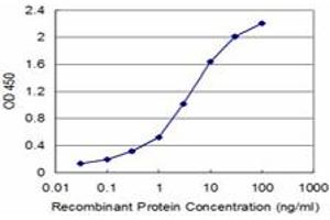 Detection limit for recombinant GST tagged FXN is approximately 0. (Frataxin anticorps  (AA 91-200))