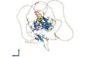 AlphaFold protein structure predicition of Human Recombinant TNK2 Protein, UniprotID Q07912