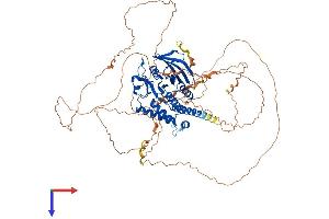 AlphaFold protein structure predicition of Mouse Recombinant Ptpn12 Protein, UniprotID P35831